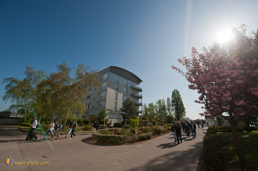 Nom de l'image : D30102038a_(c)Norbert-JUNG.com — Description :